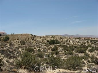 0 Alida Lane Property Photo 3