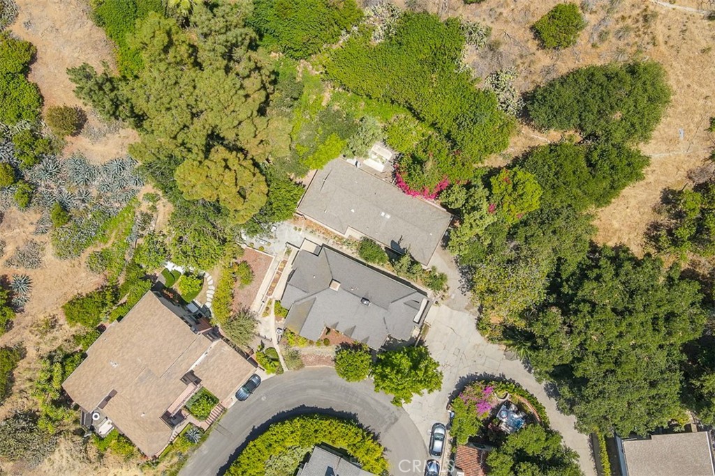 2256 Bronson Hill Drive Property Photo 44