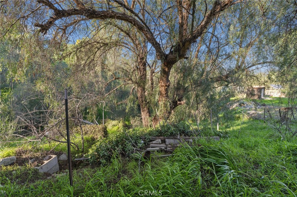10791 Citrus Property Photo 26