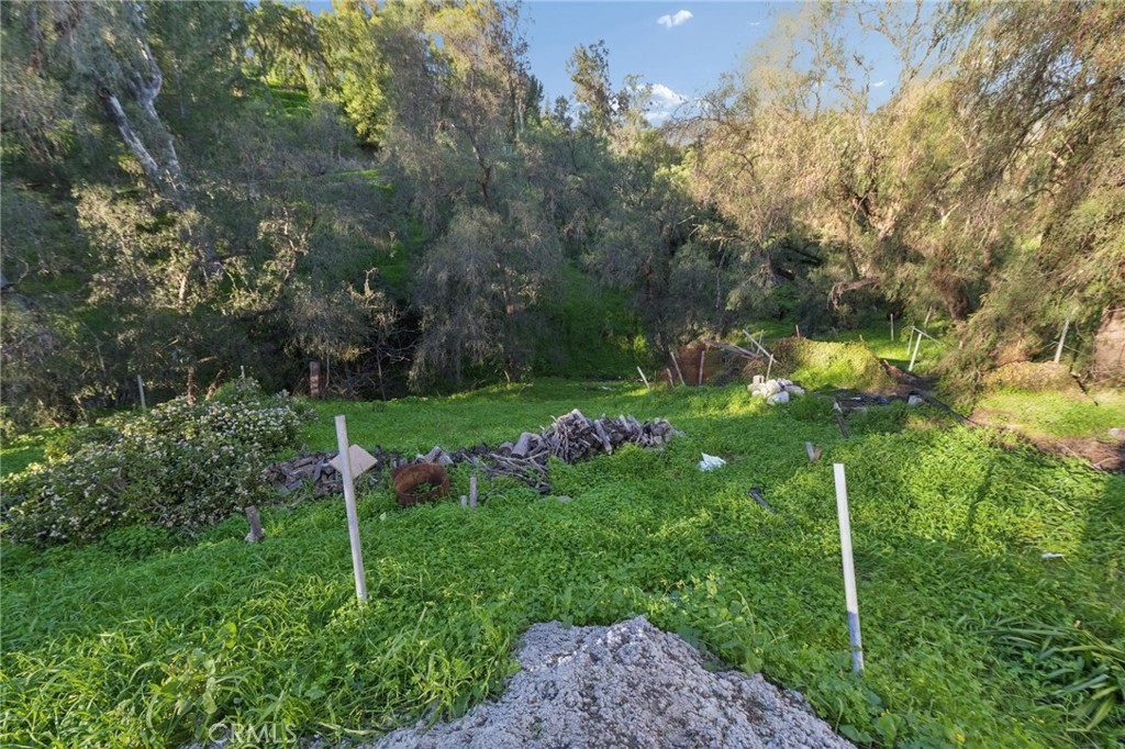 10791 Citrus Property Photo 29