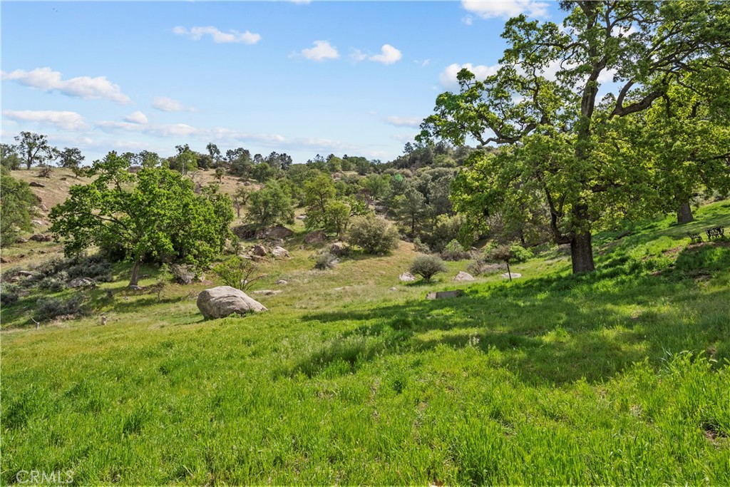 29570 Butterfield Property Photo 44