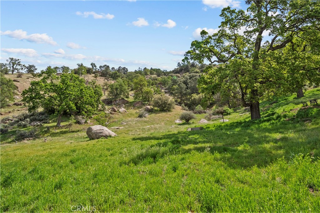 29570 Butterfield Property Photo 44