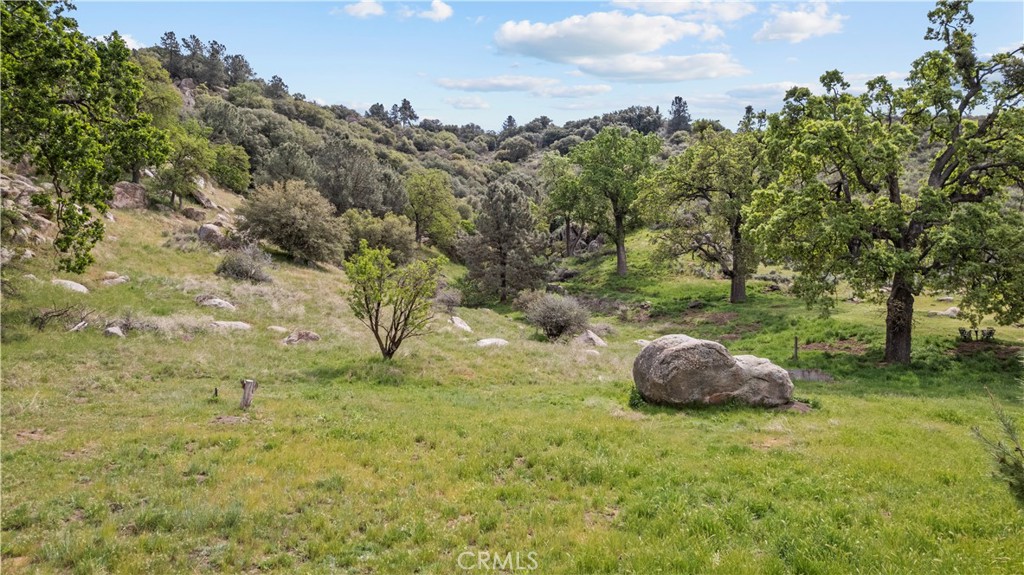 29570 Butterfield Property Photo 46