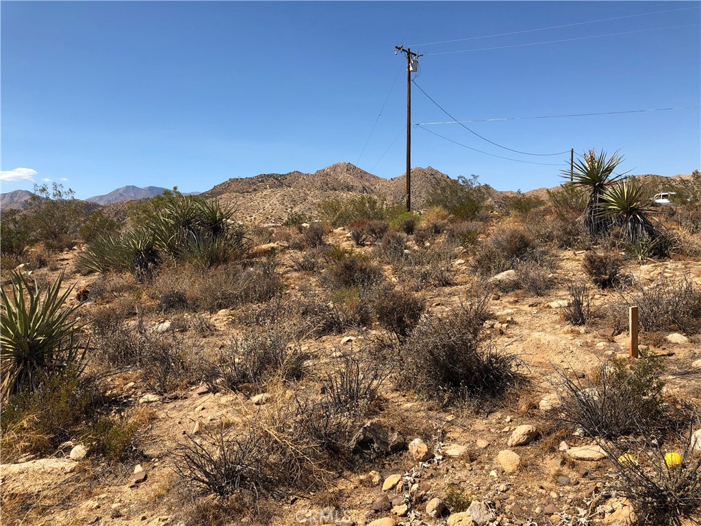 54575 Navajo Trail Property Photo 3