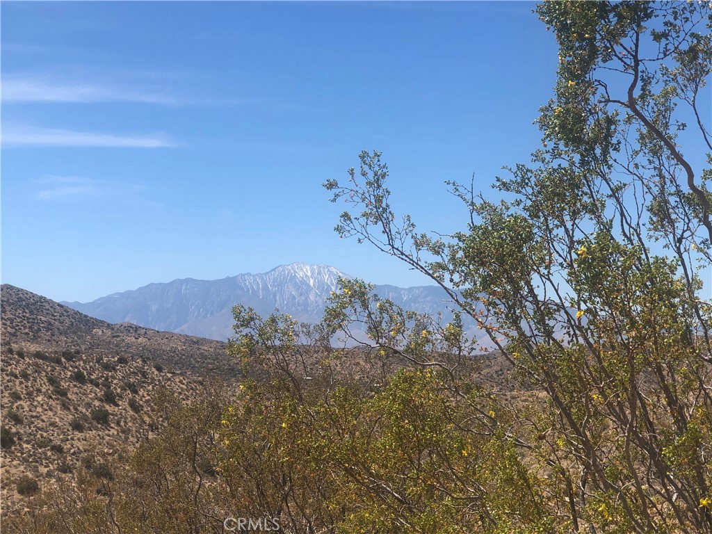 54575 Navajo Trail Property Photo 4