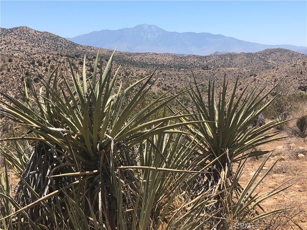 54575 Navajo Trail Property Photo 5