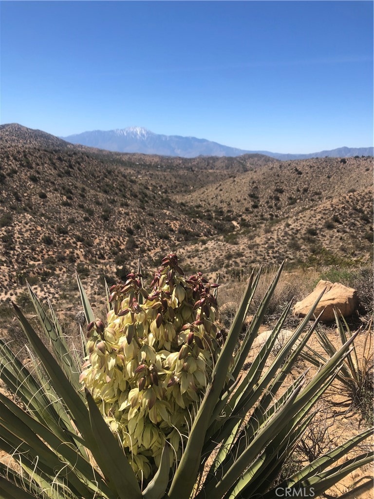 54575 Navajo Trail Property Photo 9
