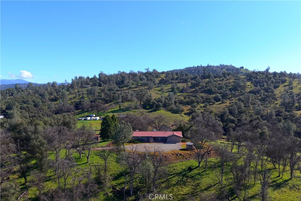 3729 Ben Hur Road Property Photo