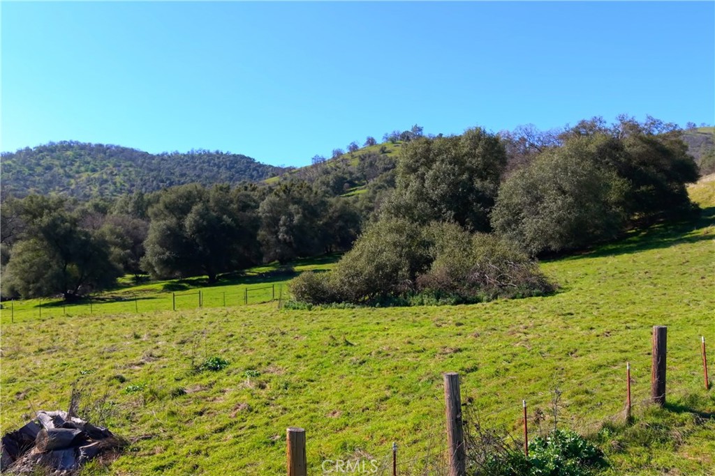 3729 Ben Hur Road Property Photo 2