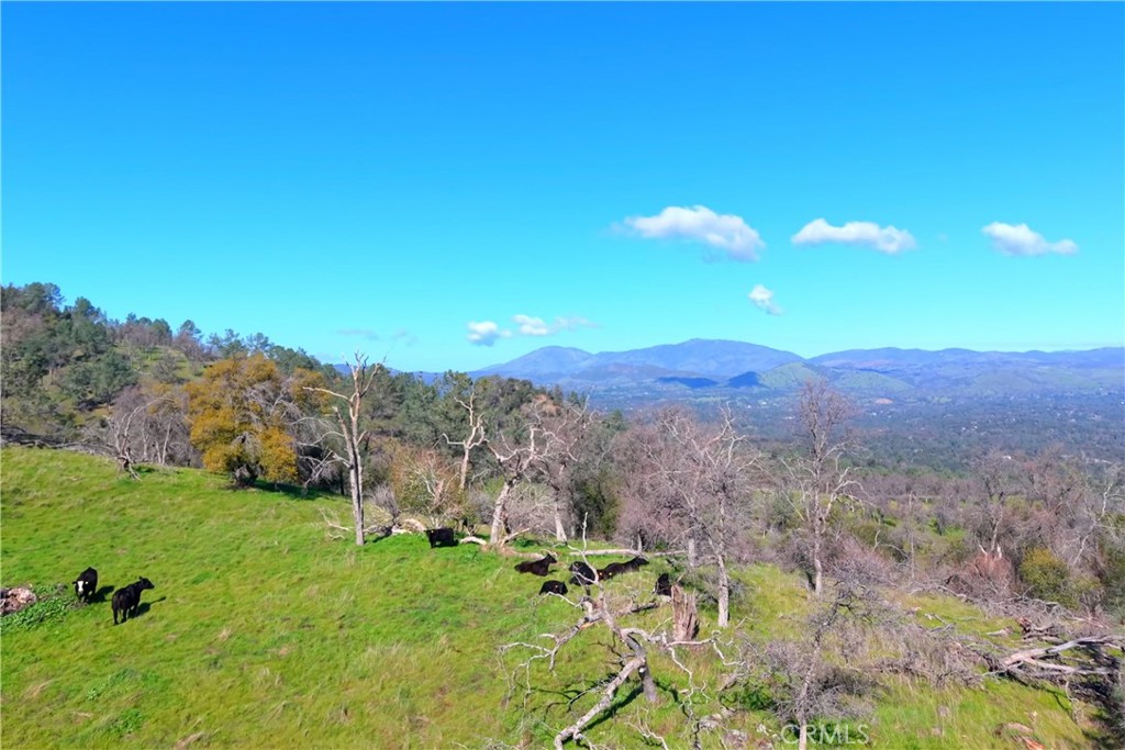 3729 Ben Hur Road Property Photo 4
