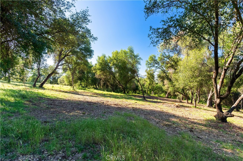 3729 Ben Hur Road Property Photo 8