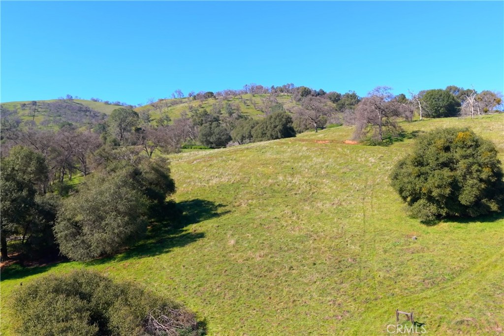 3729 Ben Hur Road Property Photo 21