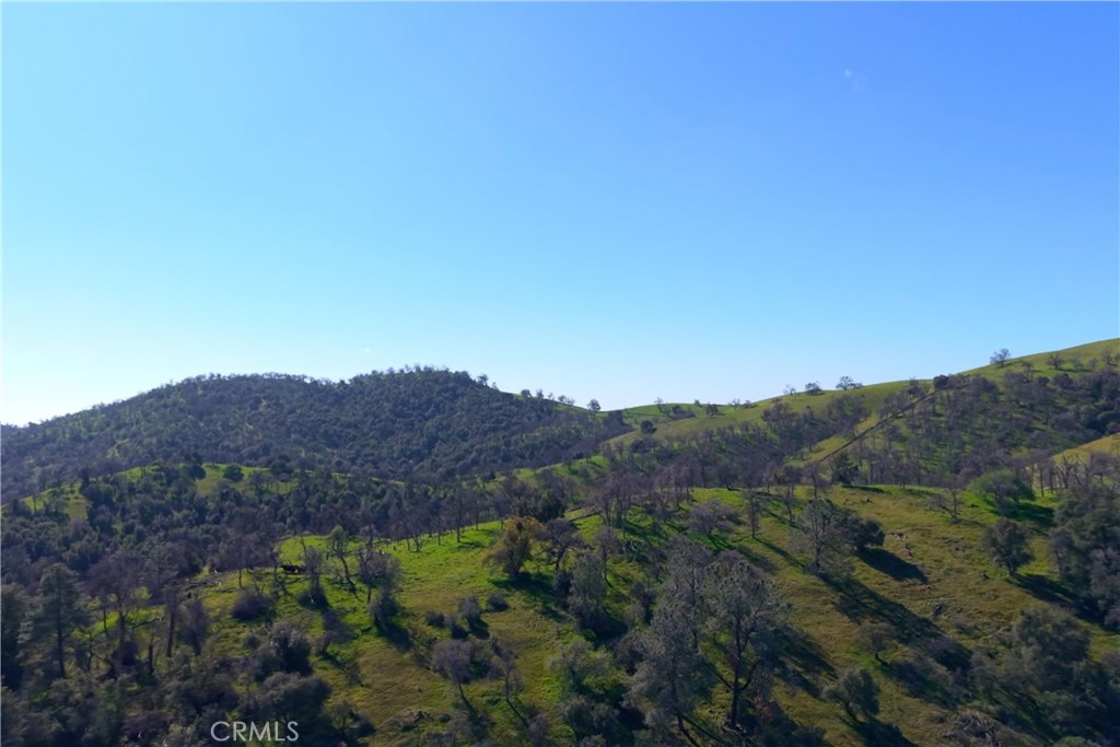 3729 Ben Hur Road Property Photo 23