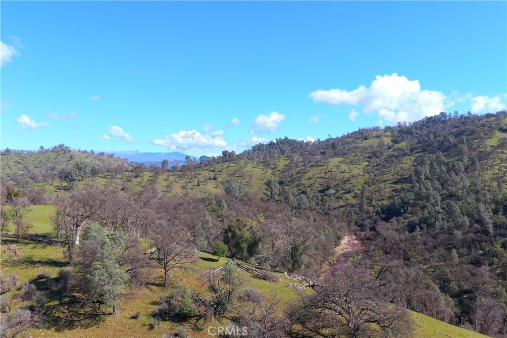 3729 Ben Hur Road Property Photo 25