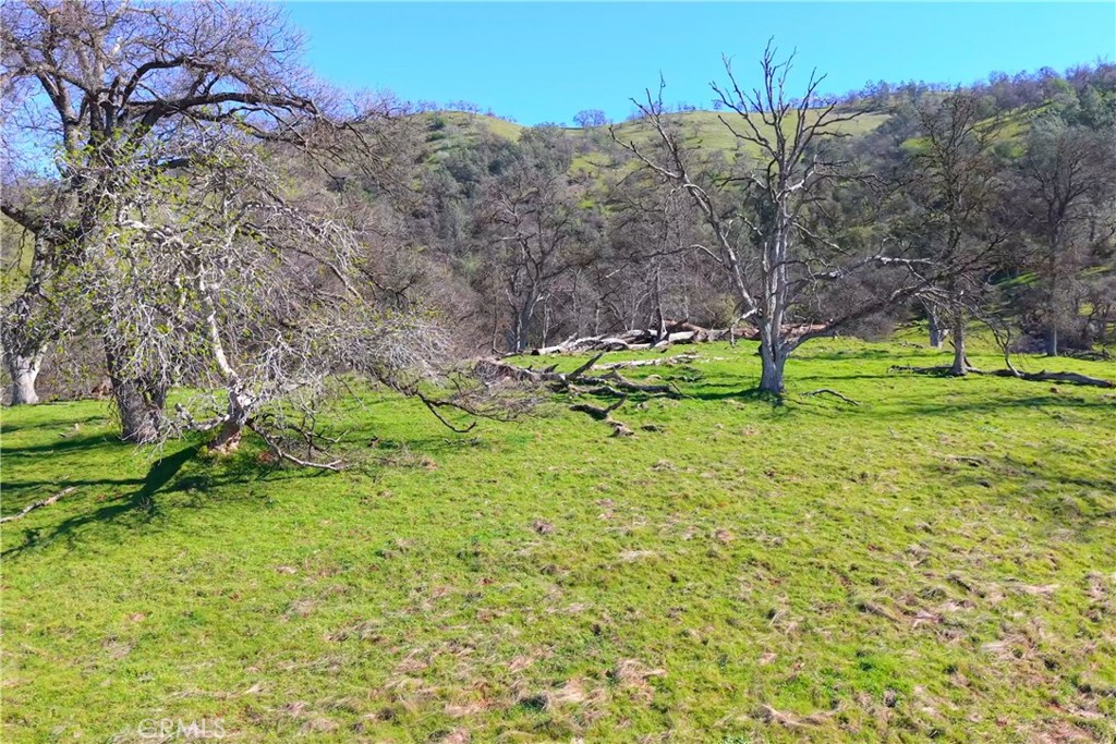 3729 Ben Hur Road Property Photo 27