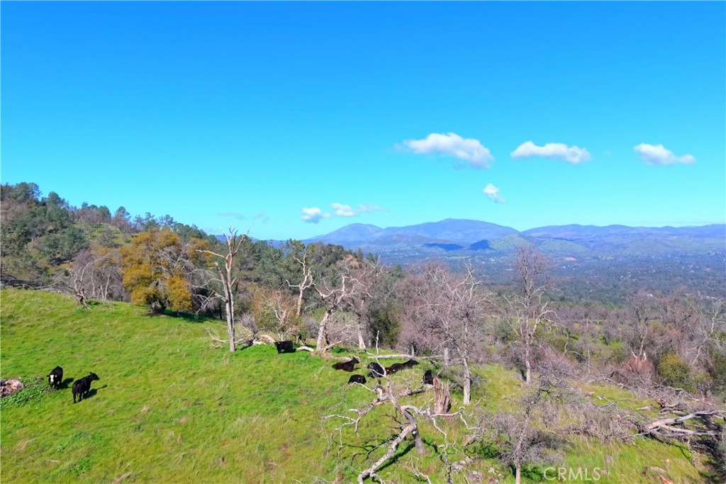 3729 Ben Hur Road Property Photo 4