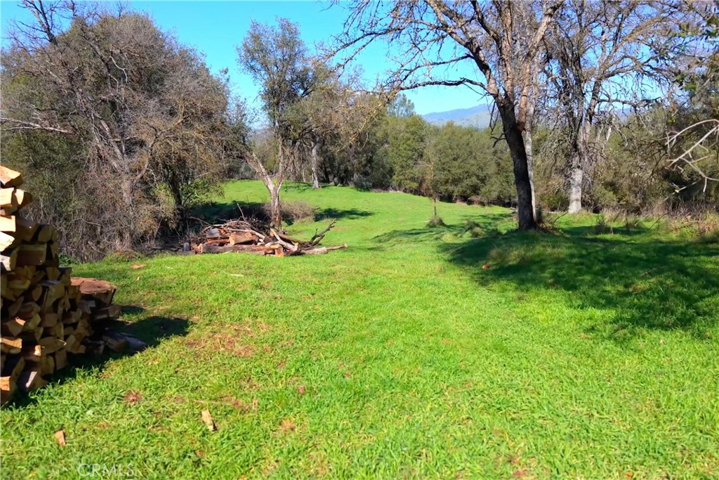 3729 Ben Hur Road Property Photo 15