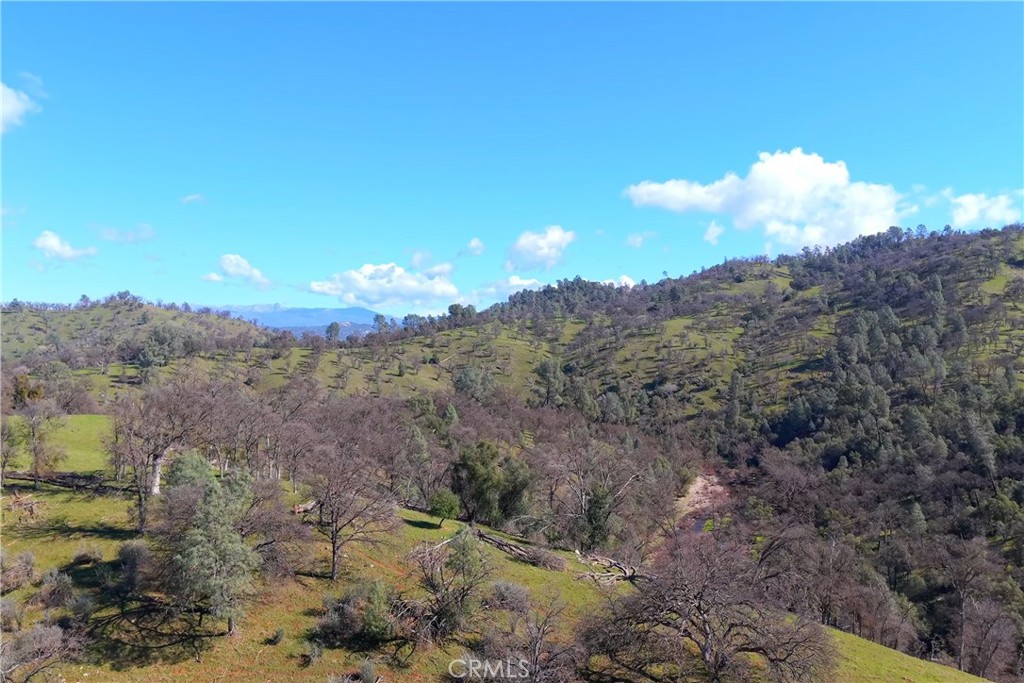 3729 Ben Hur Road Property Photo 25