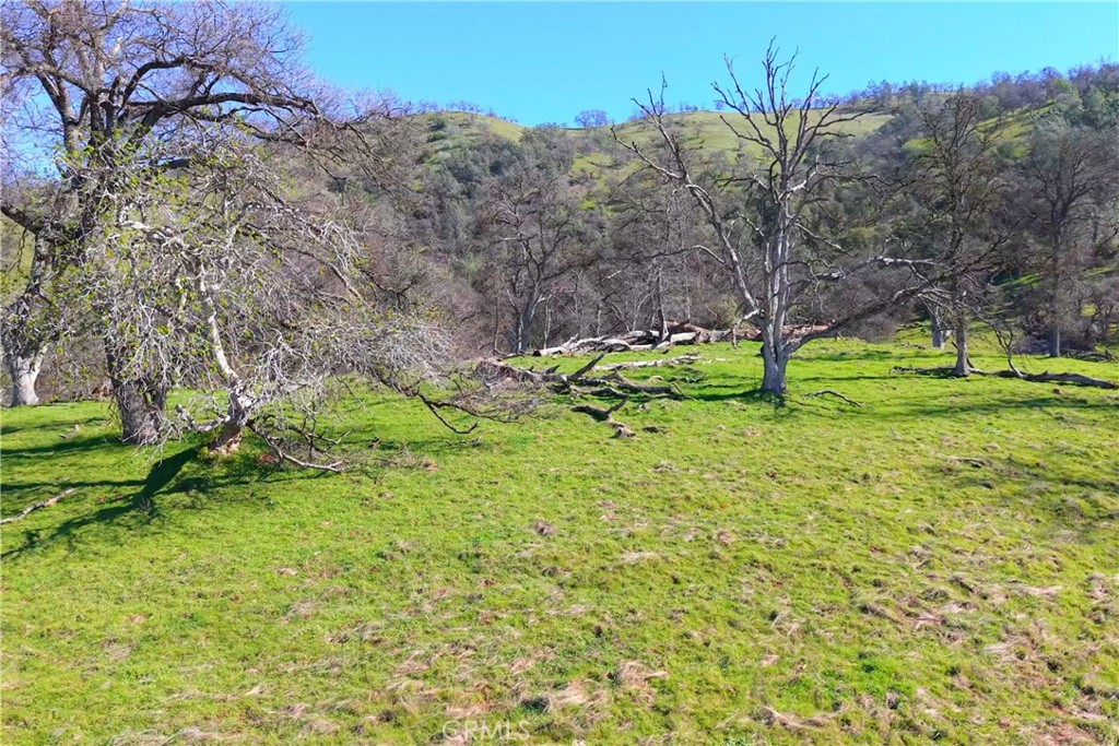 3729 Ben Hur Road Property Photo 27