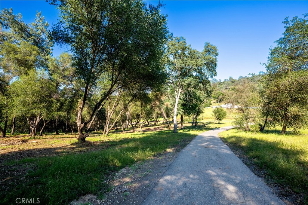 3729 Ben Hur Road Property Photo 34