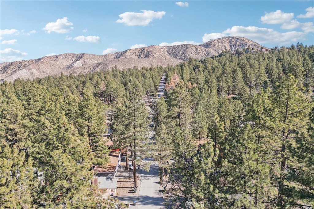 1847 Thrush Road Property Photo 27
