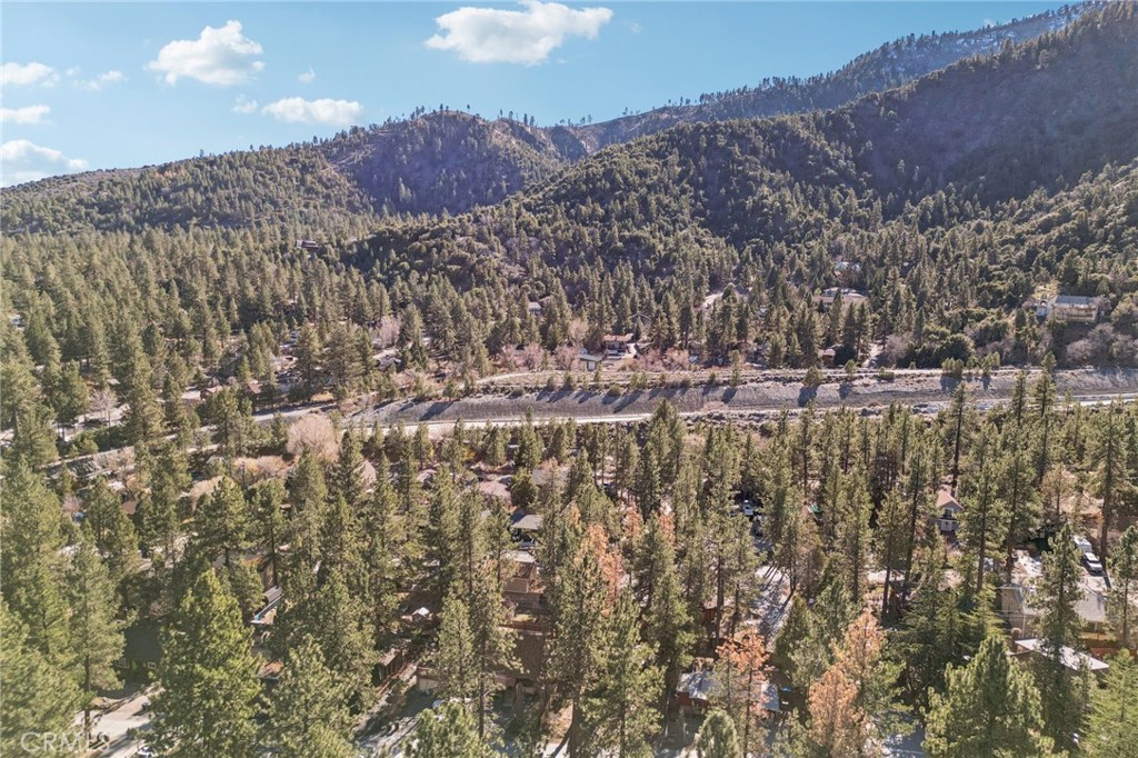 1847 Thrush Road Property Photo 32
