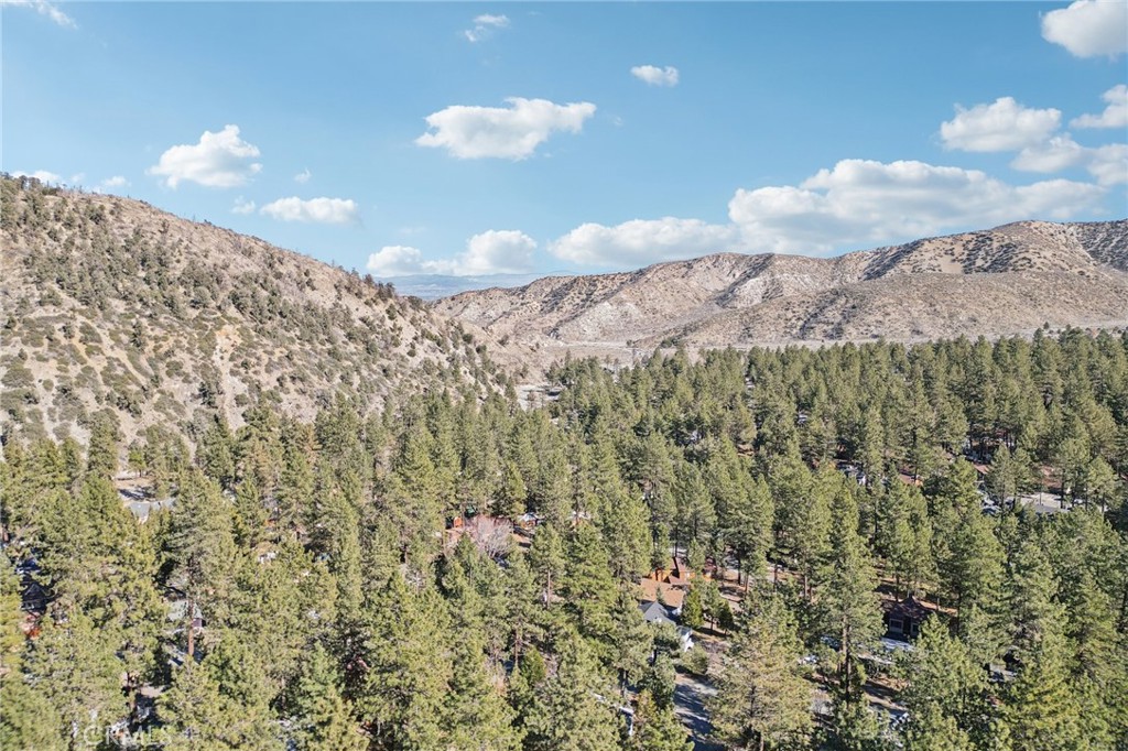 1847 Thrush Road Property Photo 33