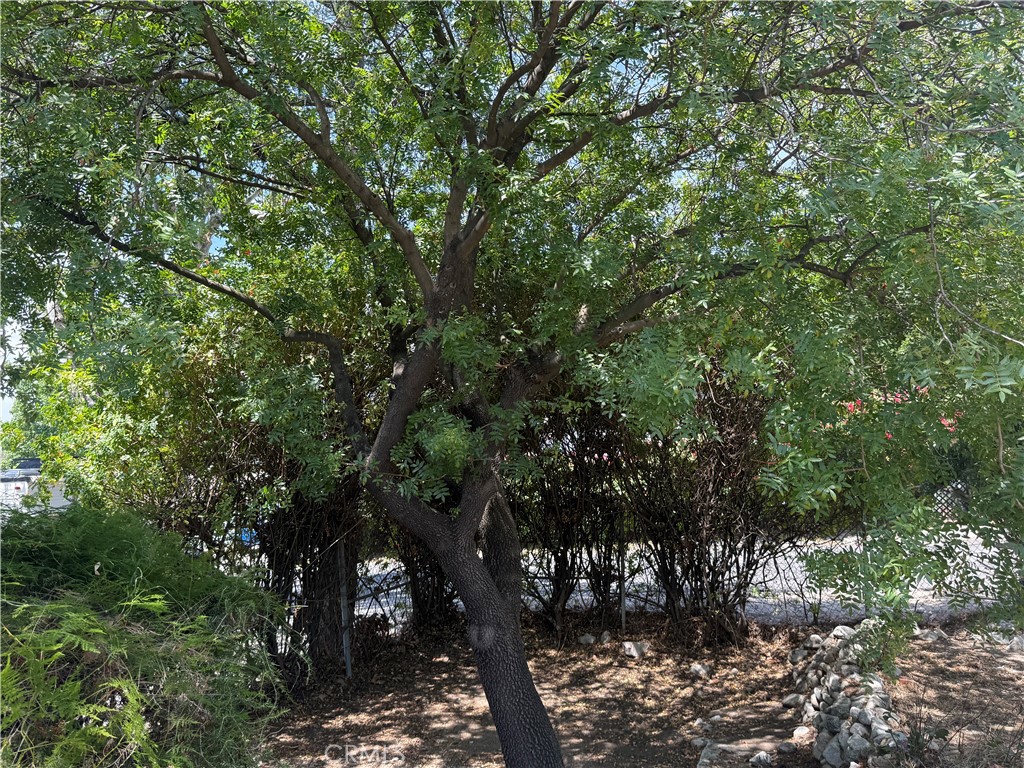 10260 Marcus Property Photo 21