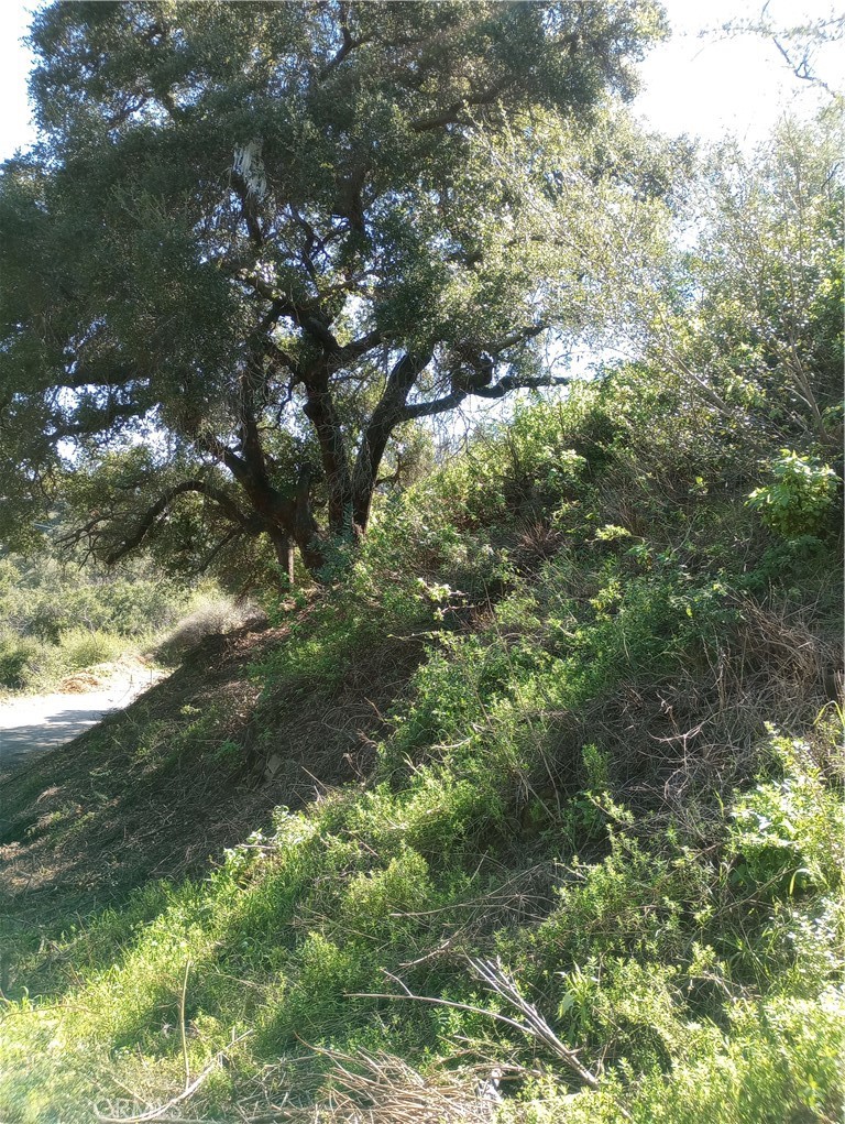 0 Old Chimney Road Property Photo 3
