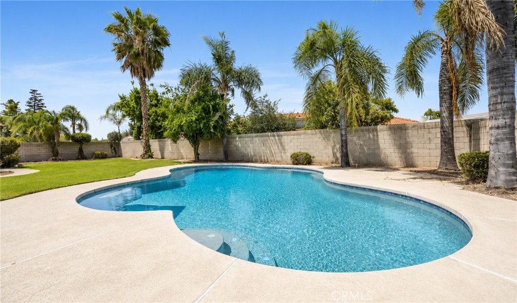 13206 Monarch Palm Property Photo 18