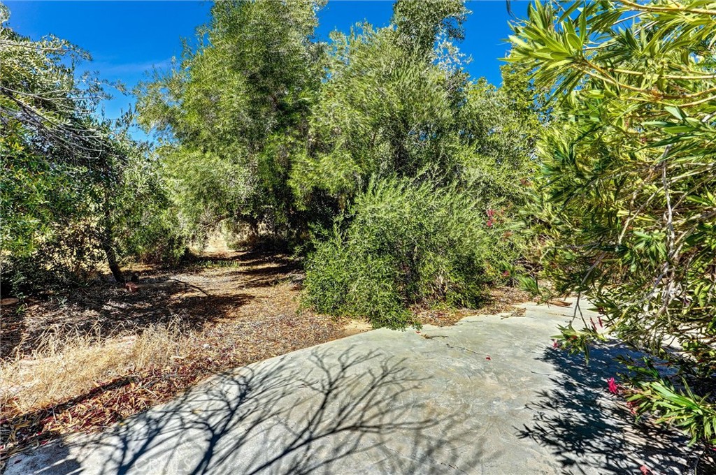 2812 Fairfield Avenue Property Photo 10
