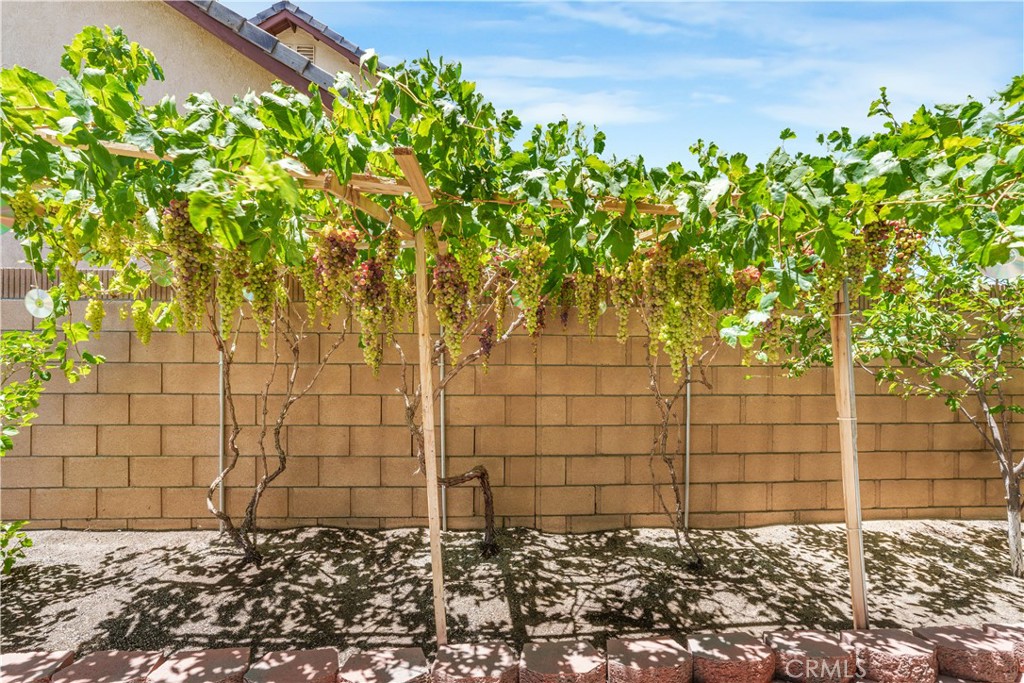 2102 Redrock Ct Property Photo 62