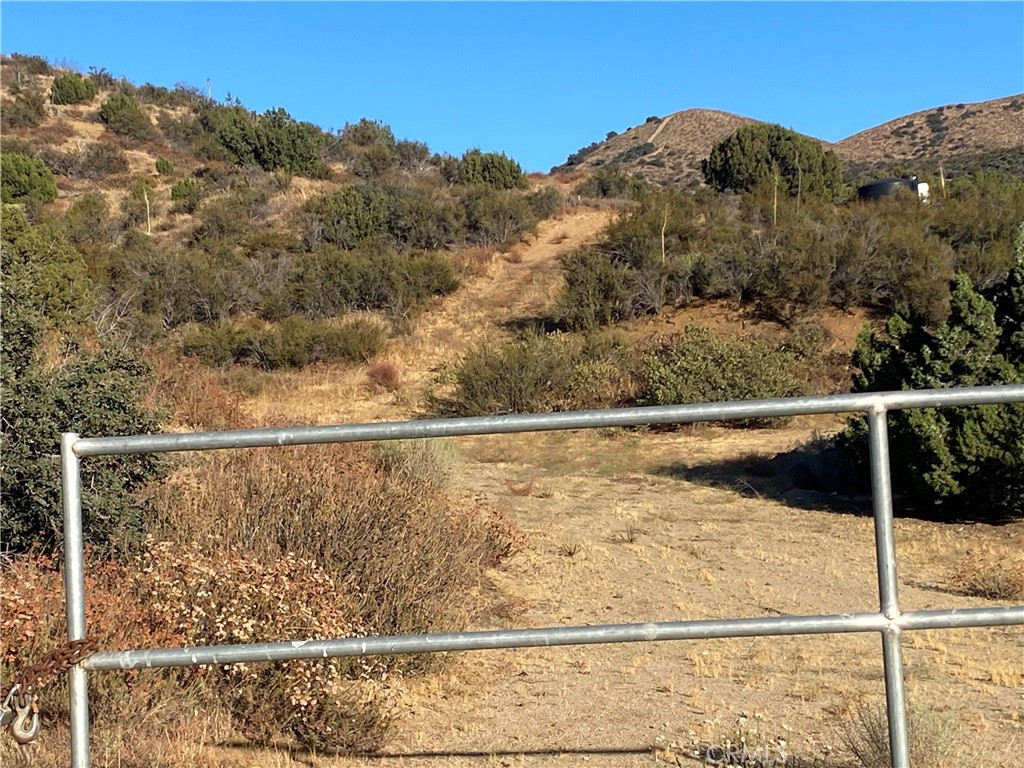 32100 Hughes Canyon Property Photo 4