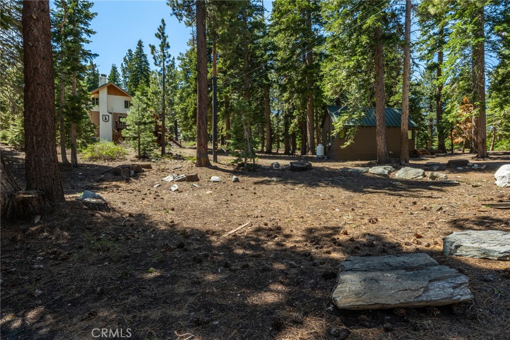 167 Crawford Property Photo 52