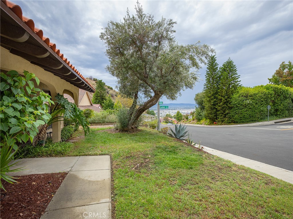 3400 Brace Canyon Road Property Photo 48