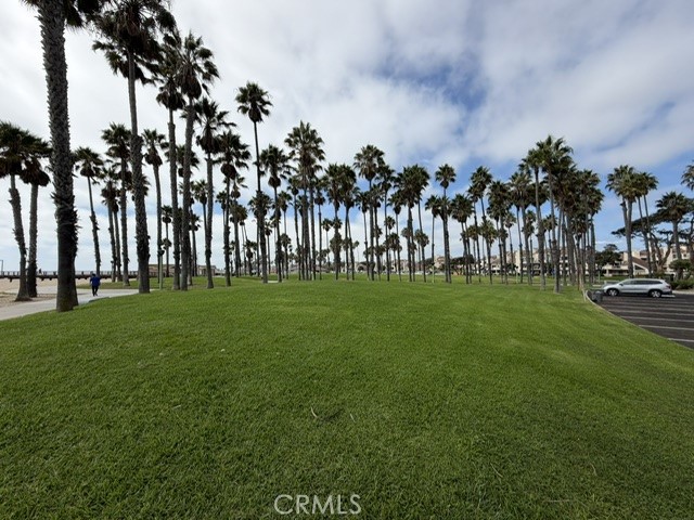 5340 S J Property Photo 28