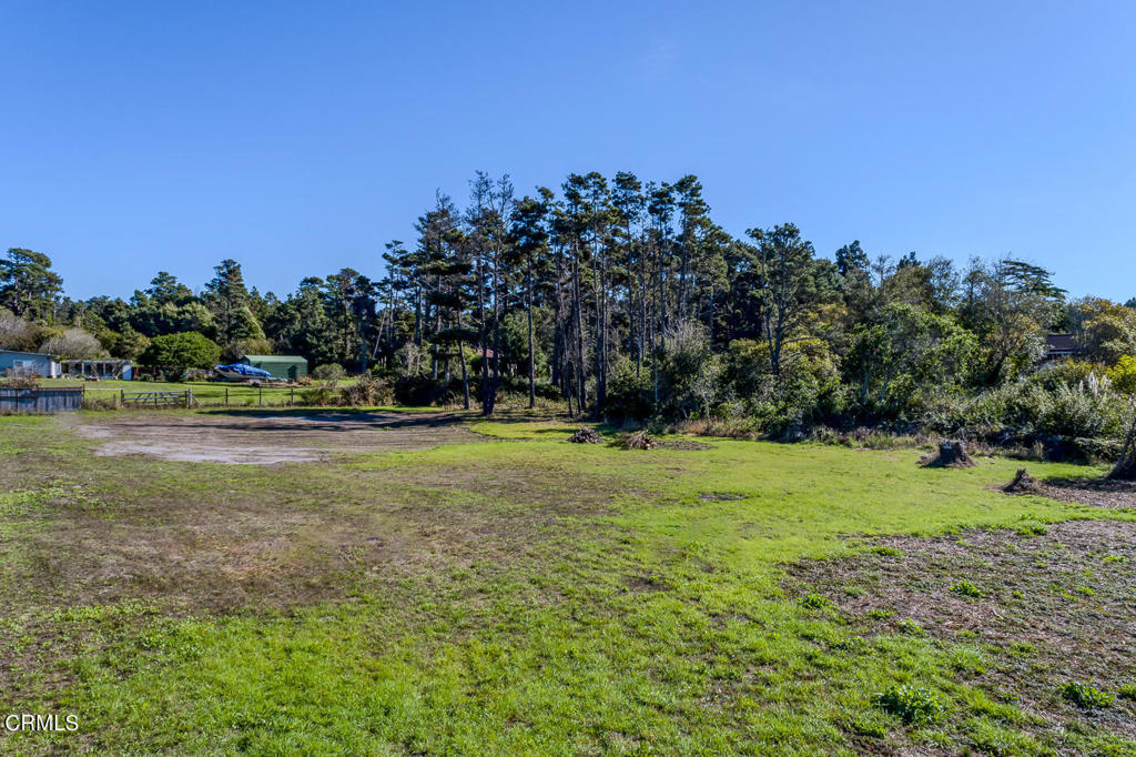 18451 Highway 1 Property Photo 1