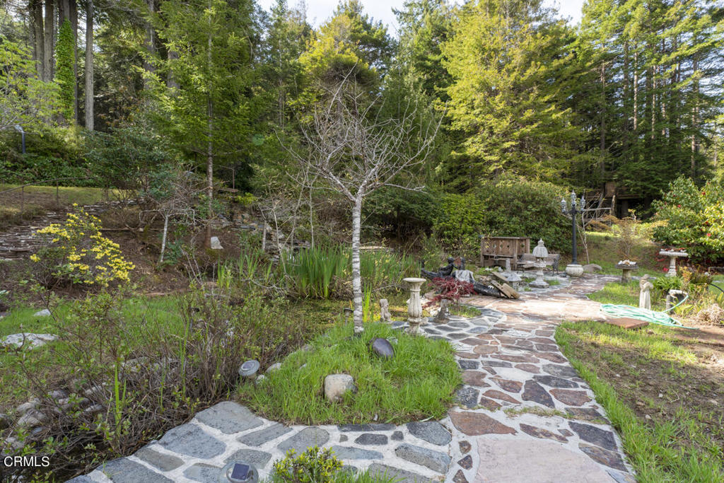 33451 Little Valley Road Property Photo 42