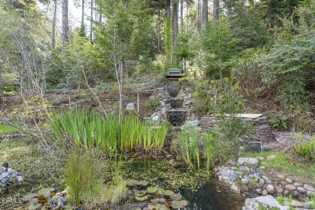 33451 Little Valley Road Property Photo 43