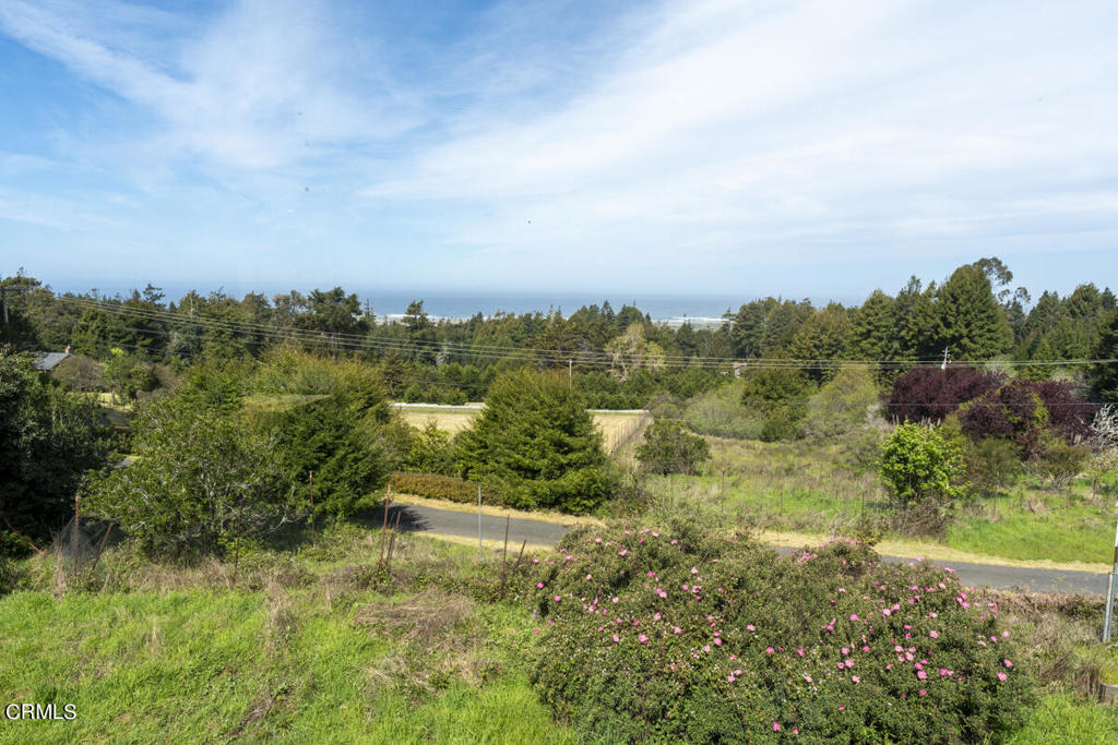 33451 Little Valley Road Property Photo 48