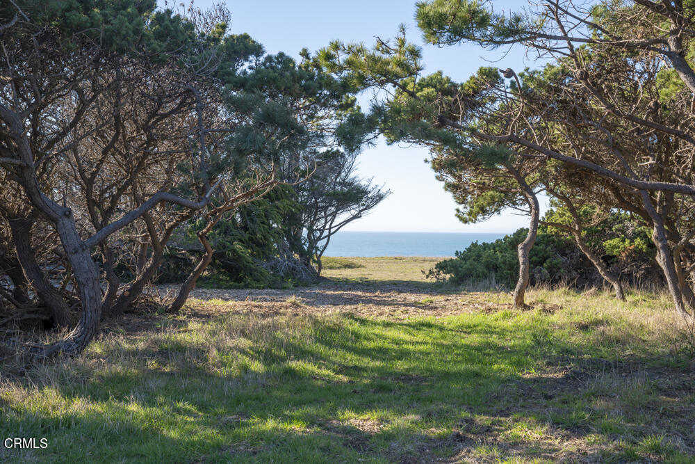 45380 Caspar Point Road Property Photo 9