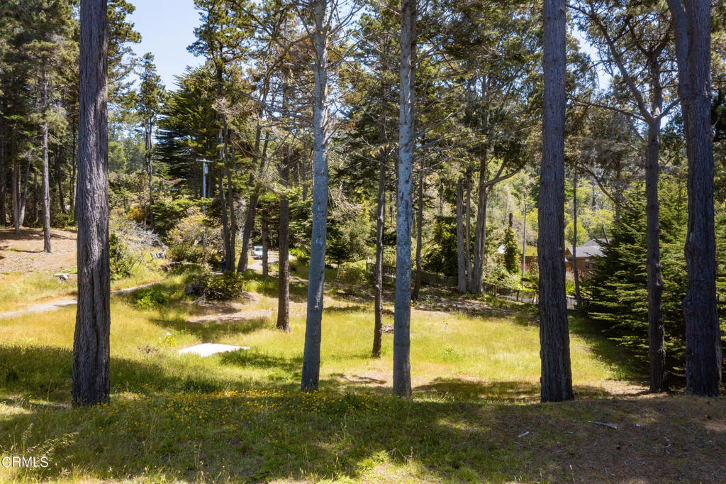 6030 Highway 1 Property Photo 7