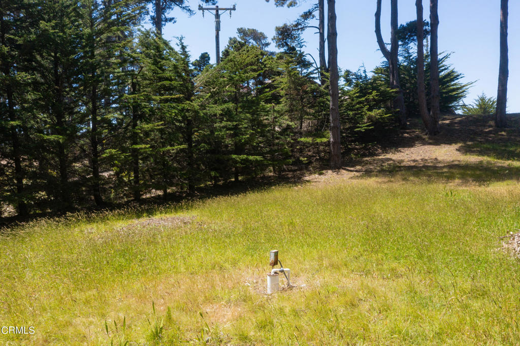 6030 Highway 1 Property Photo 8
