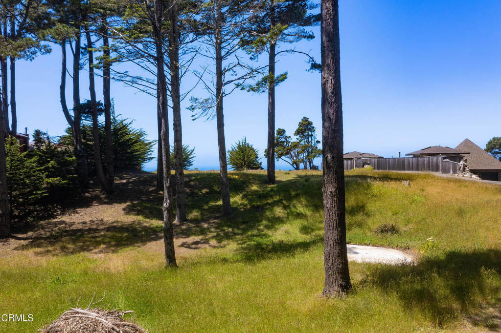 6030 Highway 1 Property Photo 9