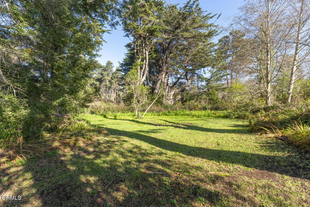 32980 Gibney Lane Property Photo 36