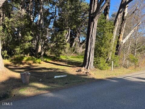 32980 Gibney Lane Property Photo 38