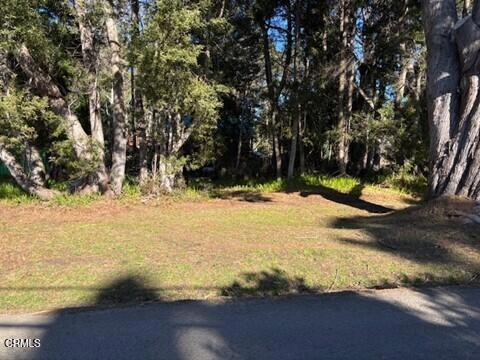 32980 Gibney Lane Property Photo 39