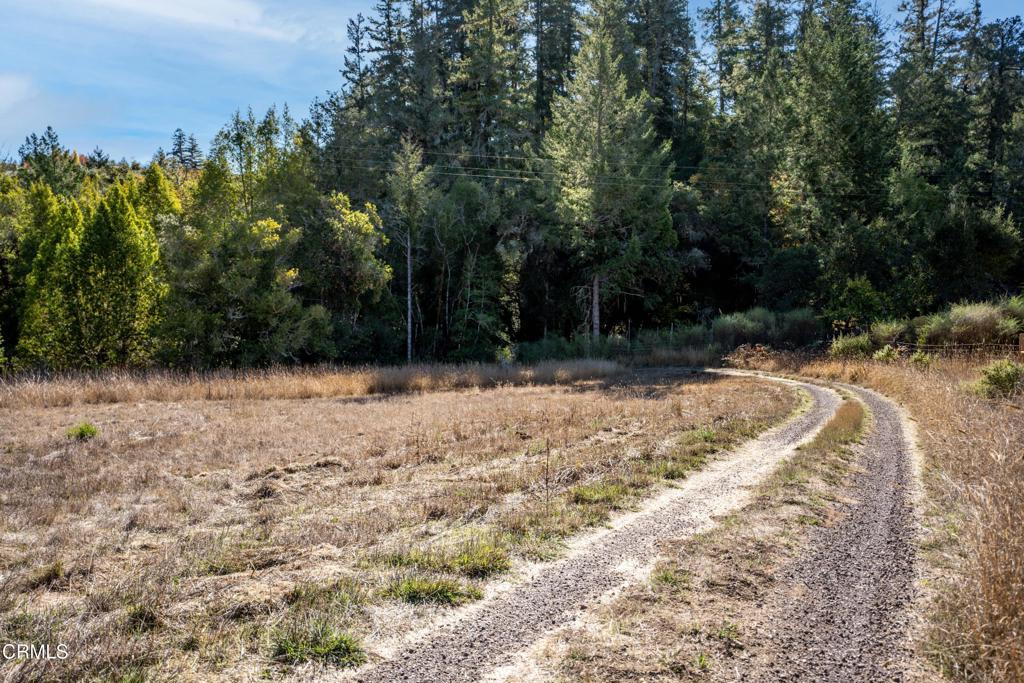4700 Monte Bloyd Road Property Photo 5