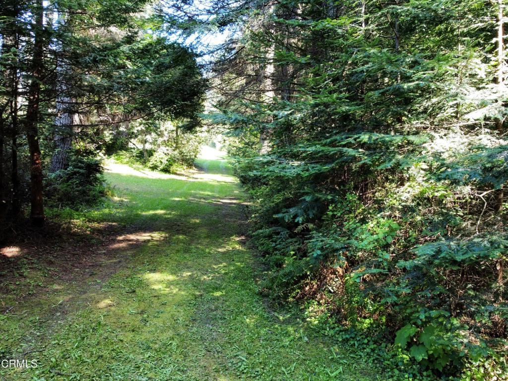 44551 Raven Lane Property Photo 2
