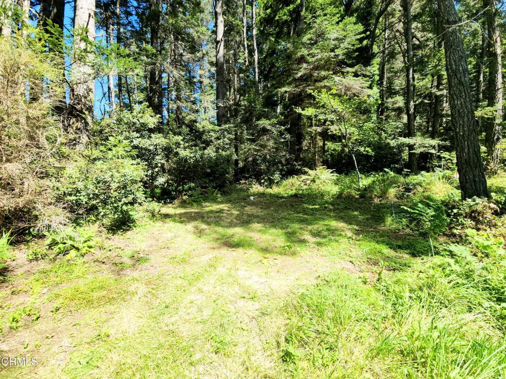 44551 Raven Lane Property Photo 3